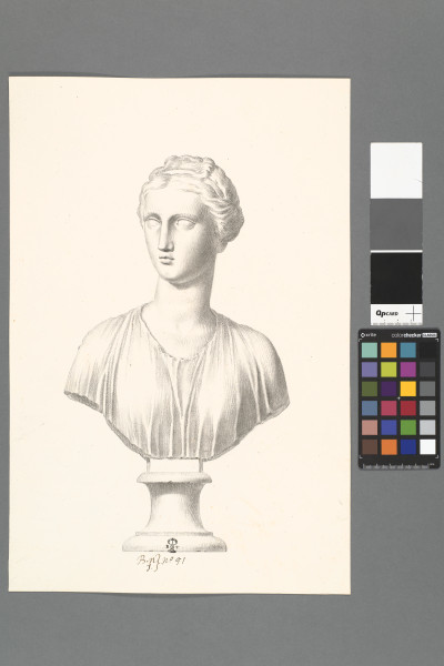 ECL-Bn.1_51-2013 image ECL-Bn.1_51-2013