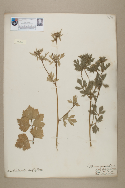 NHM_HH_22.11-2010 image NHM_HH_22.11-2010