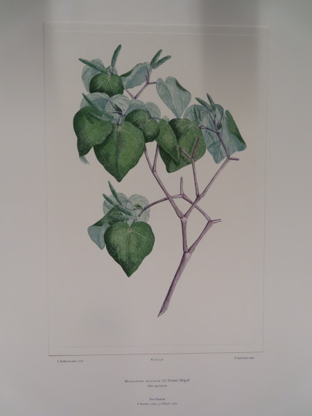 FDA-E.2916_25_24-2016-A image FDA-E.2916_25_24-2016-A