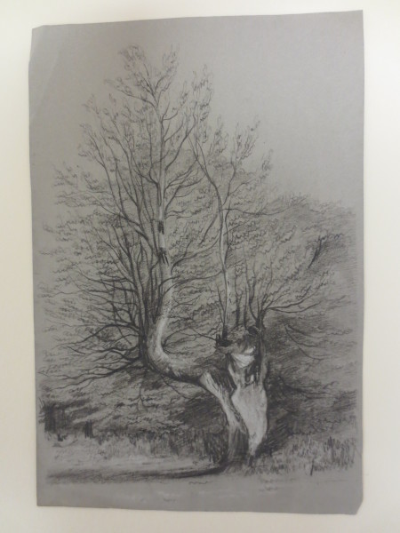 FDA-D.1406-2015 image FDA-D.1406-2015