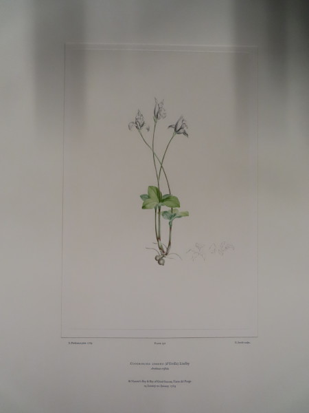 FDA-E.2916_34_17-2016 image FDA-E.2916_34_17-2016