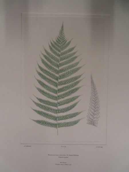 FDA-E.2916_27_25-2016 image FDA-E.2916_27_25-2016