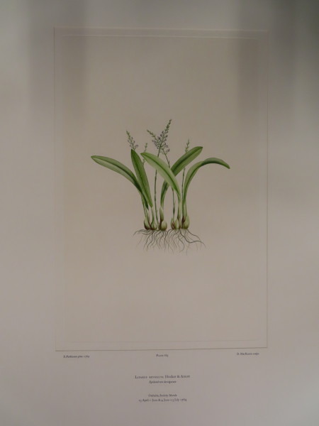 image FDA-E.2916_31_18-2016-A