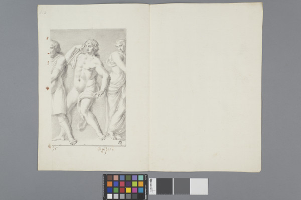 ECL-Bm.8_7-2013 image ECL-Bm.8_7-2013