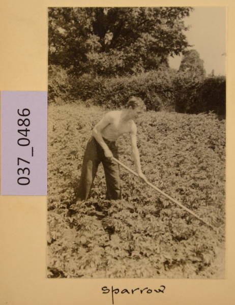 PA-A.37_486-2012 image PA-A.37_486-2012