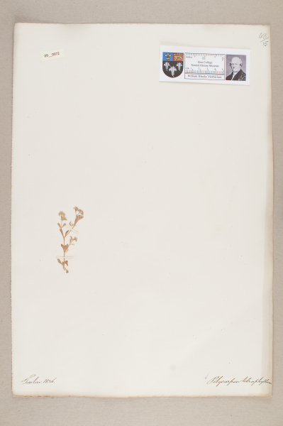 NHM_HH_9.72-2010 image NHM_HH_9.72-2010