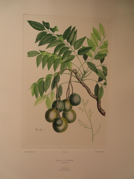 image FDA-E.2916_28_14-2016