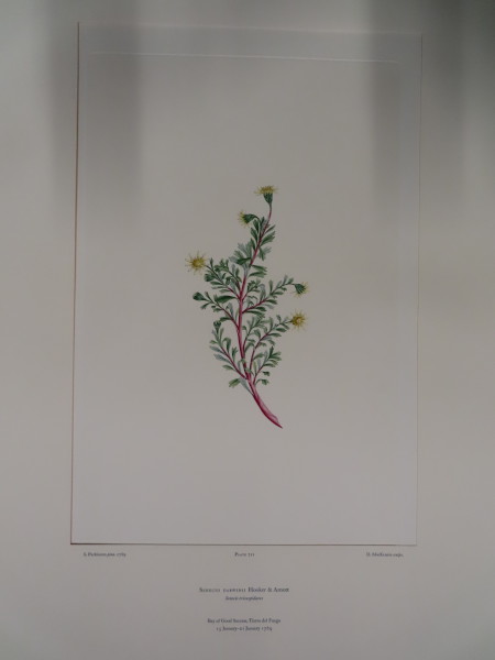 image FDA-E.2916_33_20-2016