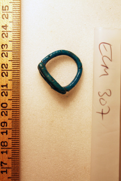 ECM.307-2010-B image ECM.307-2010-B