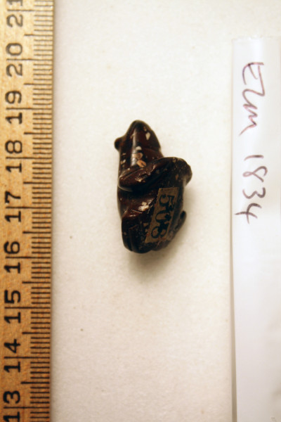 ECM.1834-2010-E image ECM.1834-2010-E