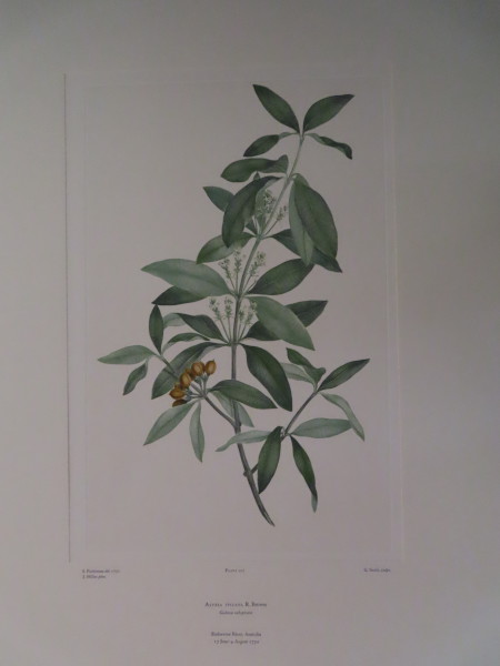 image FDA-E.2916_10_8-2016-A