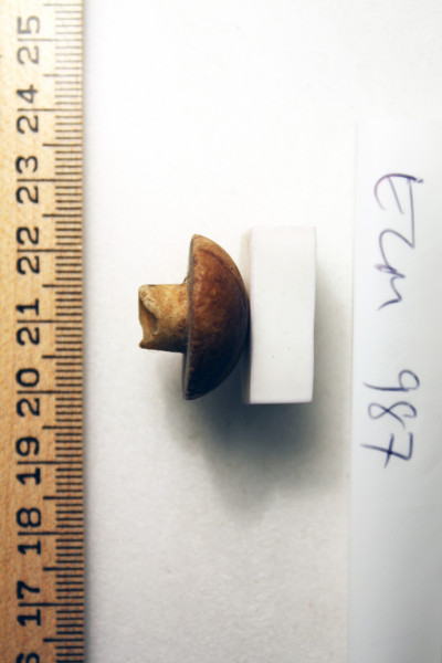 ECM.987-2010-C image ECM.987-2010-C