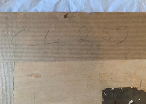 FDA-D.1681-2021-B image FDA-D.1681-2021-B