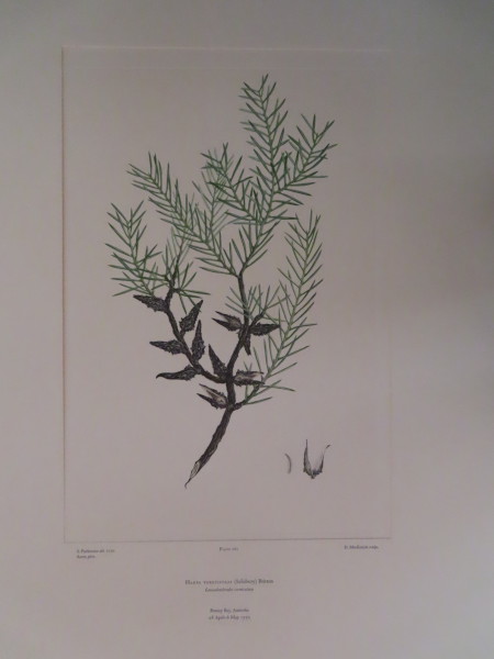 FDA-E.2916_13_14-2016-A image FDA-E.2916_13_14-2016-A