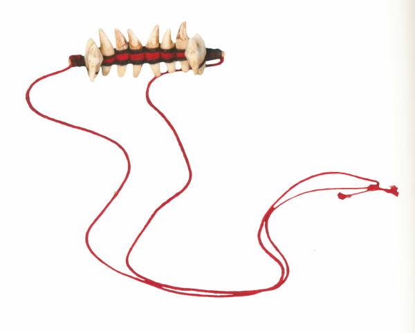 NHM-HT.108-2014 image NHM-HT.108-2014