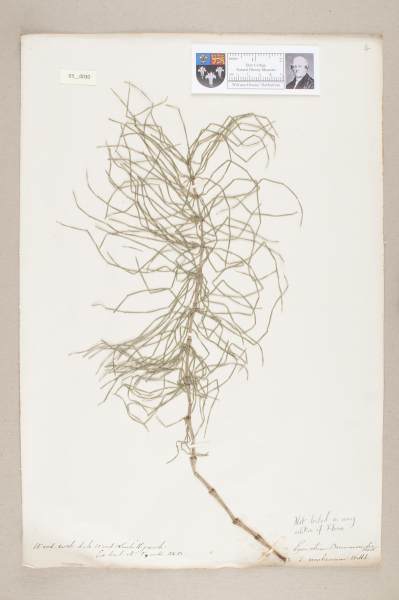 NHM_HH_3.30-2010 image NHM_HH_3.30-2010