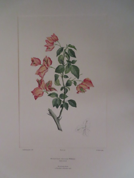 image FDA-E.2916_16_21-2016-A