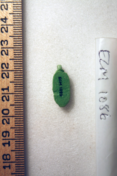 ECM.1086-2010-B image ECM.1086-2010-B