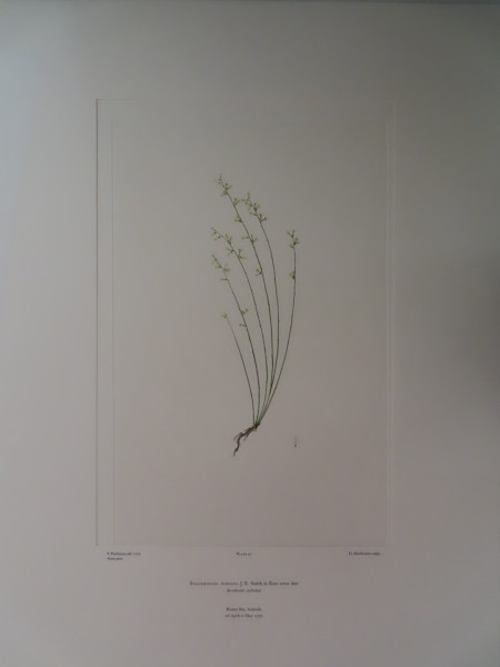 image FDA-E.2916_2_22-2016-A