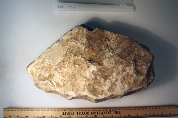 ECM.2319-2017-E image ECM.2319-2017-E