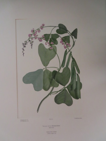 image FDA-E.2916_4_9-2016-A