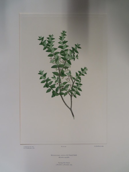 FDA-E.2916_21_22-2016-A image FDA-E.2916_21_22-2016-A