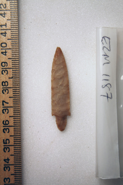 ECM.1187-2010-A image ECM.1187-2010-A