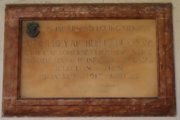 FDA-Sc.176-2022 image FDA-Sc.176-2022