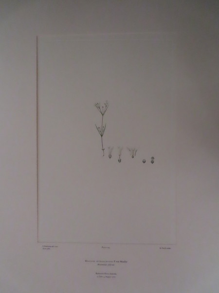 FDA-E.2916_7_11-2016 image FDA-E.2916_7_11-2016