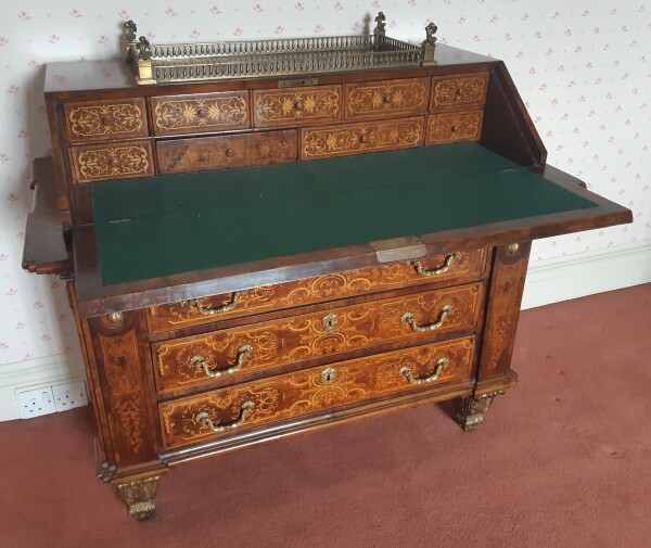 FDA-A.2534-2024-B image FDA-A.2534-2024-B