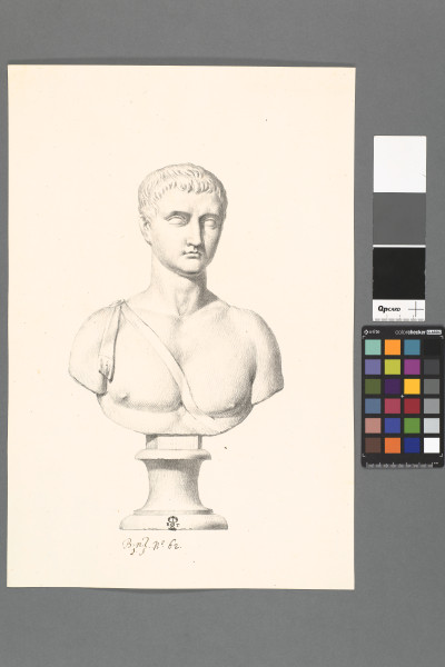 ECL-Bn.1_62-2013 image ECL-Bn.1_62-2013