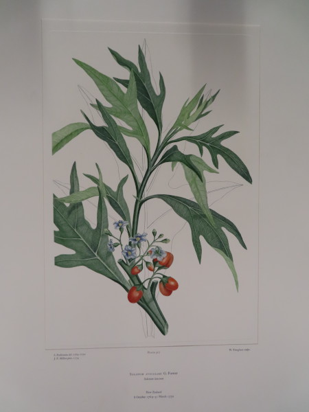 image FDA-E.2916_25_5-2016