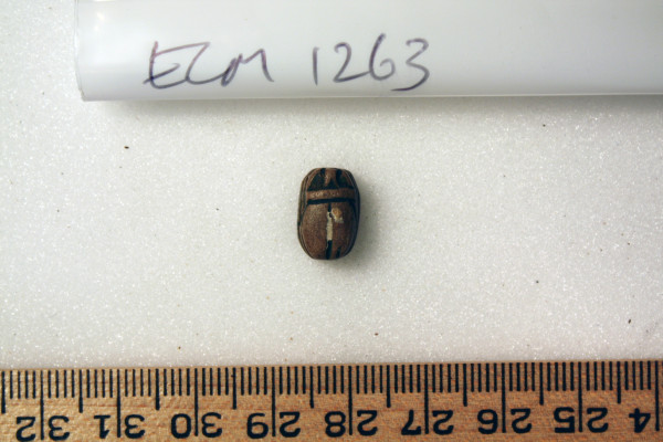 ECM.1263-2010-A image ECM.1263-2010-A