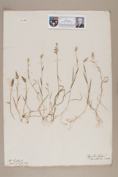 NHM_HH_37.37-2010 image NHM_HH_37.37-2010