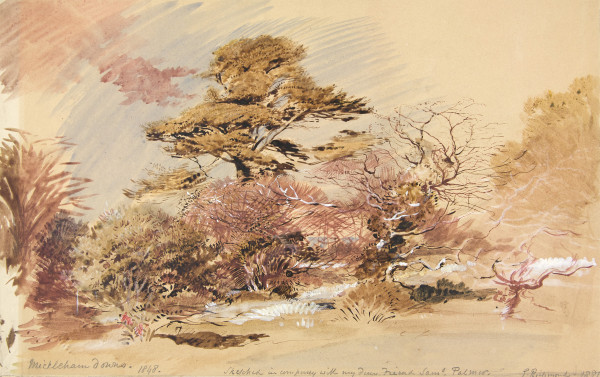 FDA-D.434-2010 image FDA-D.434-2010