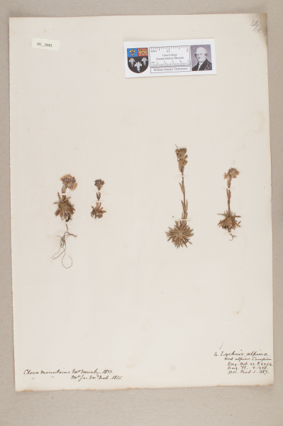 NHM_HH_9.81-2010 image NHM_HH_9.81-2010