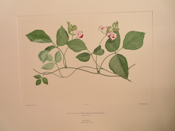 image FDA-E.2916_28_19-2016