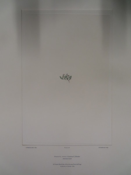 image FDA-E.2916_33_25-2016