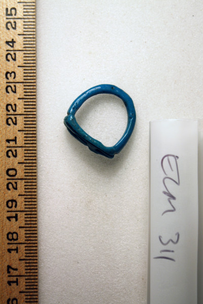 ECM.311-2010-B image ECM.311-2010-B