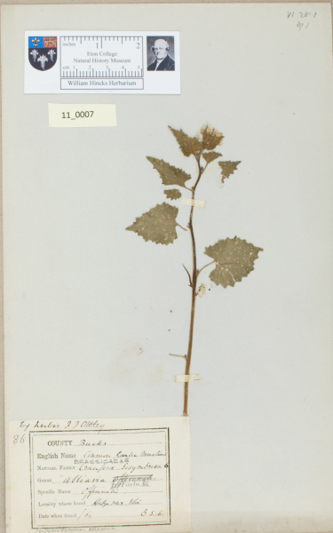 NHM_HH_11.7-2010 image NHM_HH_11.7-2010