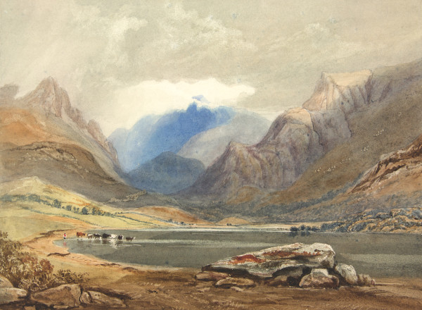 FDA-D.316-2010 image FDA-D.316-2010