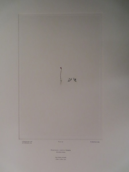 image FDA-E.2916_11_12-2016