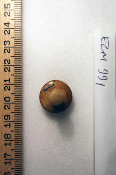 ECM.991-2010-B image ECM.991-2010-B