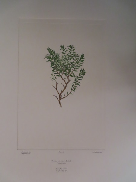 image FDA-E.2916_13_21-2016