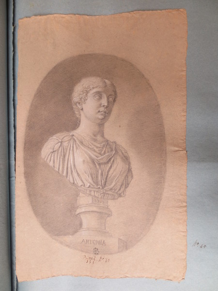 ECL-Bm.13_45-2013 image ECL-Bm.13_45-2013