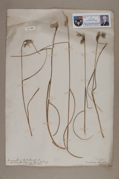 NHM_HH_32.2-2010 image NHM_HH_32.2-2010