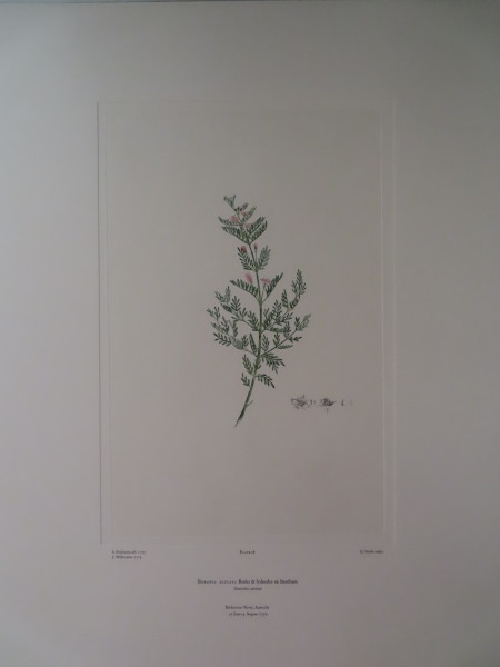 FDA-E.2916_2_9-2016-A image FDA-E.2916_2_9-2016-A