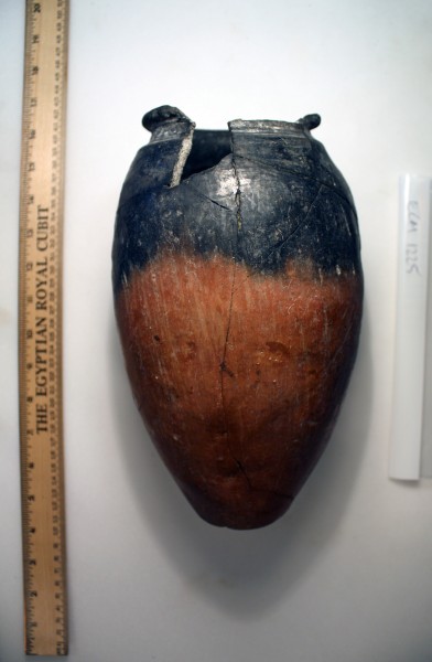 ECM.1225-2010-A image ECM.1225-2010-A