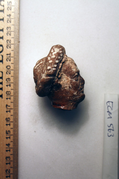 ECM.563-2010-B image ECM.563-2010-B