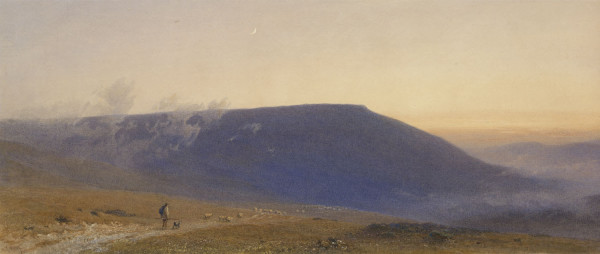 FDA-D.290-2010 image FDA-D.290-2010